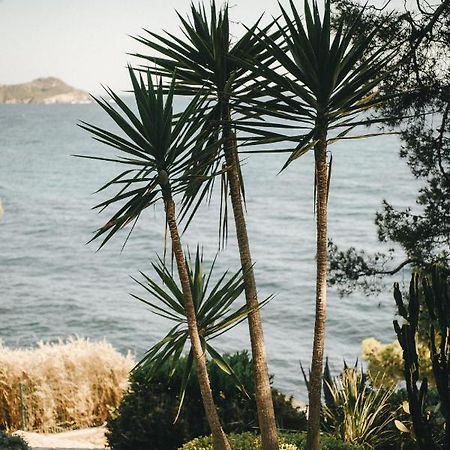 Hotel Provencal Hyères Eksteriør bilde