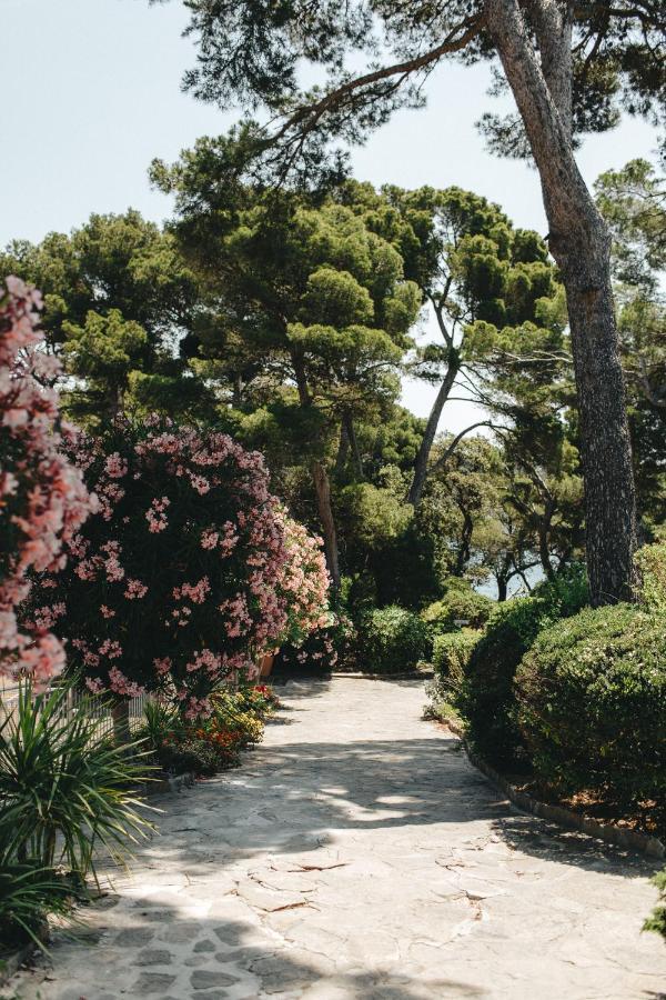 Hotel Provencal Hyères Eksteriør bilde